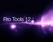 Avid Pro Tools Studio 10/11/12 2024 PERPETUAL Bundle (used)